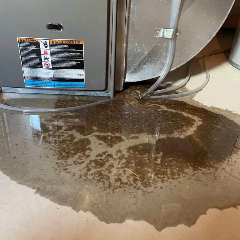 Appliance Leak Cleanup in Fillmore County, NE